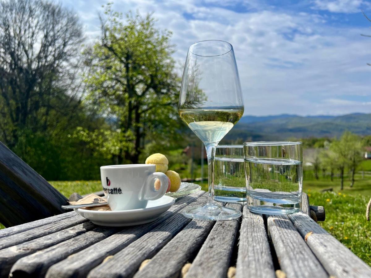 Guest House Domacija Krnc Hrib pri Hinjah Екстериор снимка