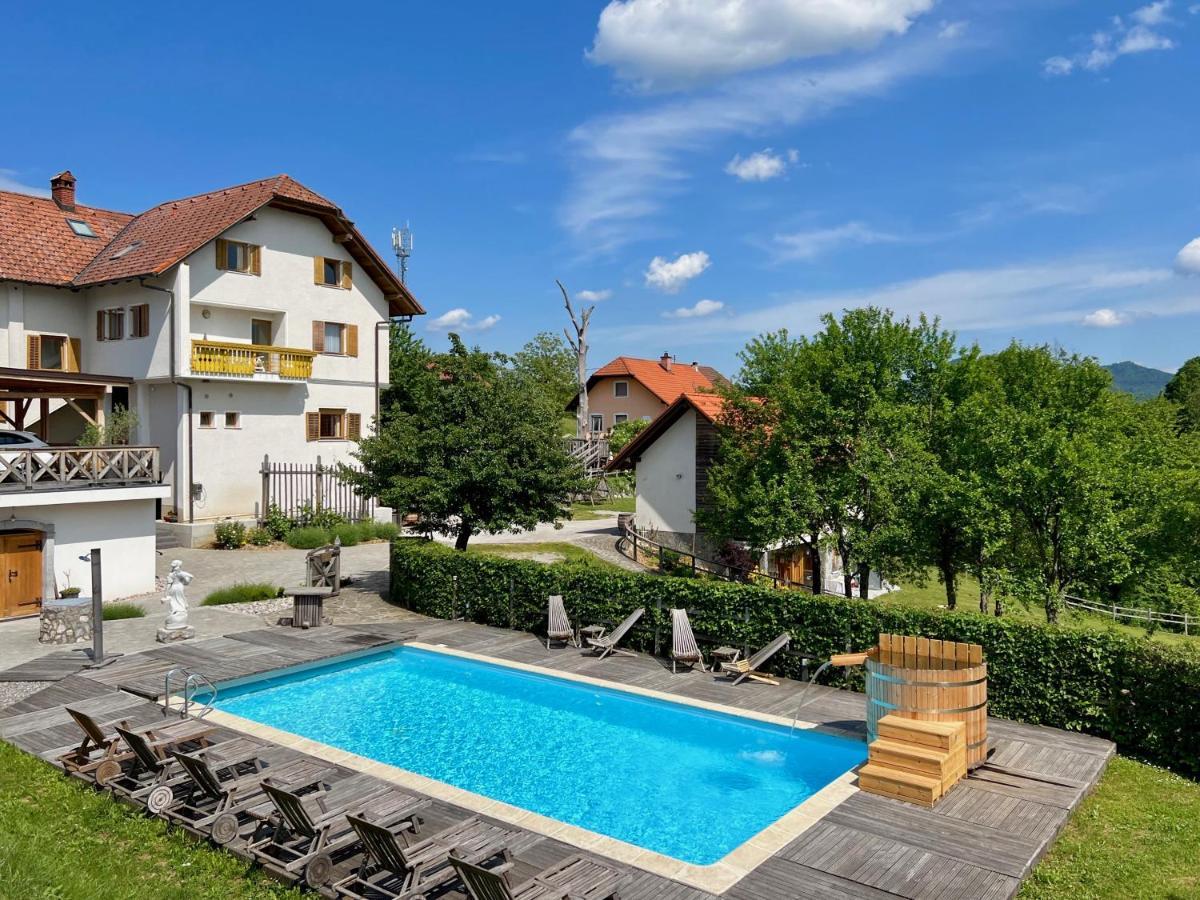 Guest House Domacija Krnc Hrib pri Hinjah Екстериор снимка