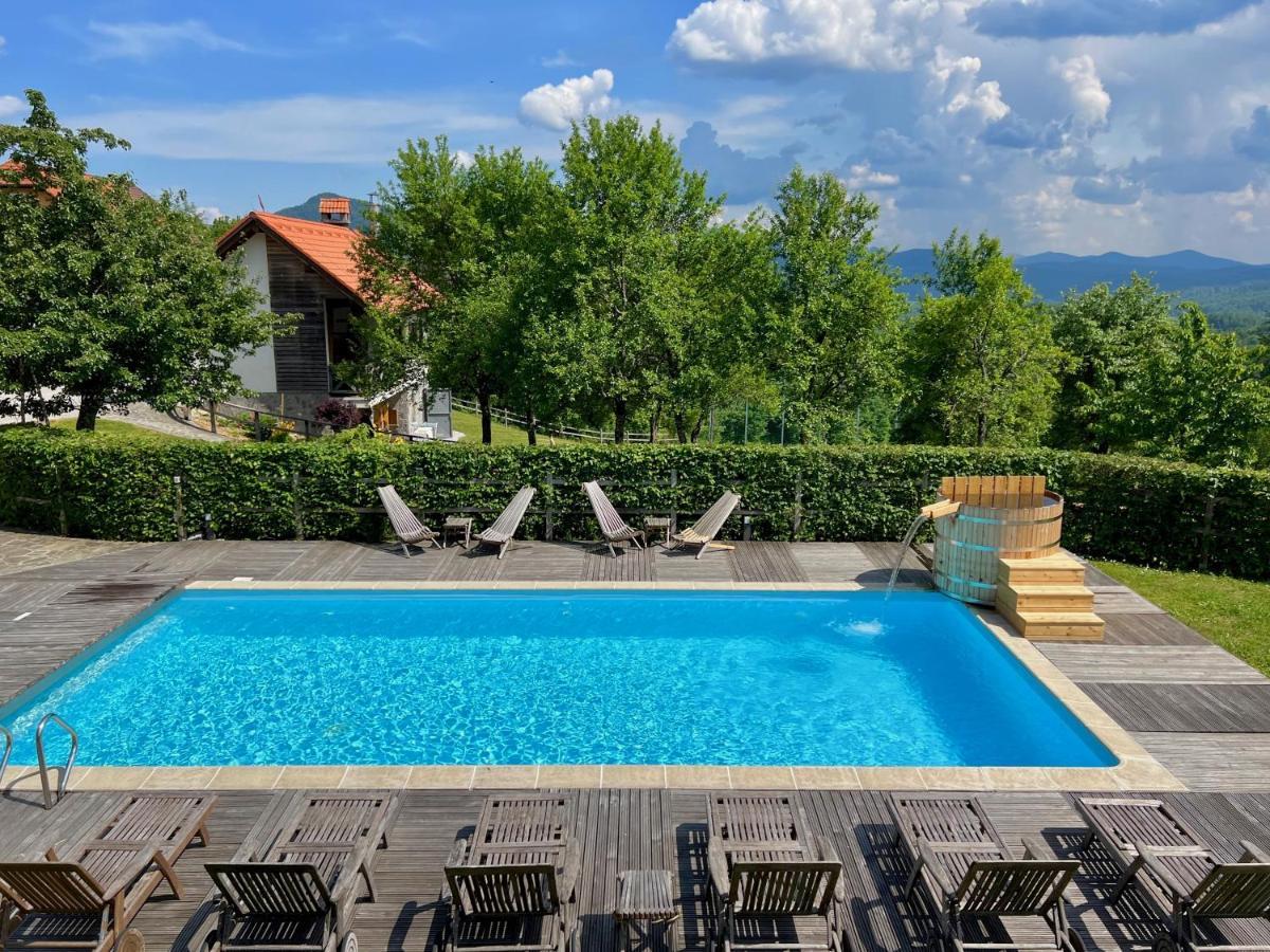 Guest House Domacija Krnc Hrib pri Hinjah Екстериор снимка